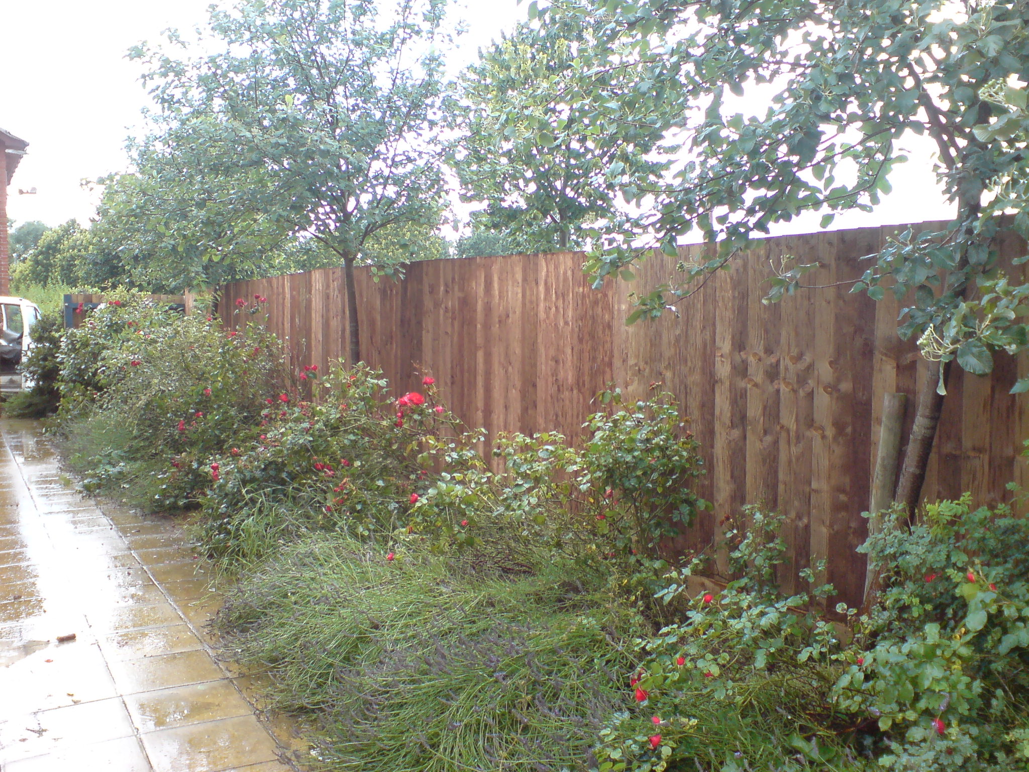 closeboard.jpg